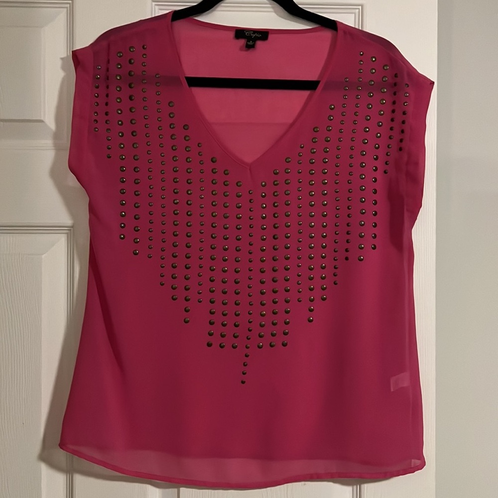 Sheer Pink Blouse